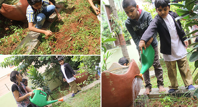Garden-rishima-montessori